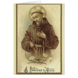 St. Francis van Assisi Patron Saint of Animals