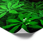 St. Francis van Assisi Poster (Hoek)