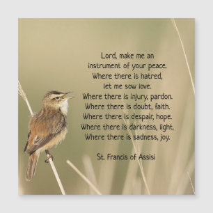 St. Francis van Assisi Prayer Bird Inspirerend