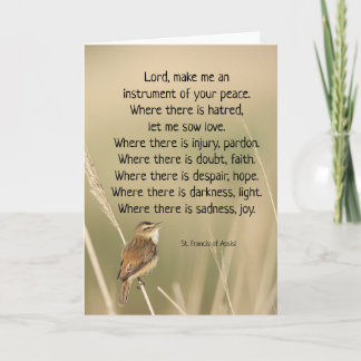 St. Francis van Assisi Prayer Bird Inspirerend Kaart