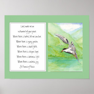 St. Francis van Assisi Prayer Common Tern Bird Poster