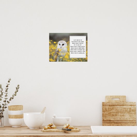 St. Francis van Assisi Prayer met Barn Owl Poster (Keuken)