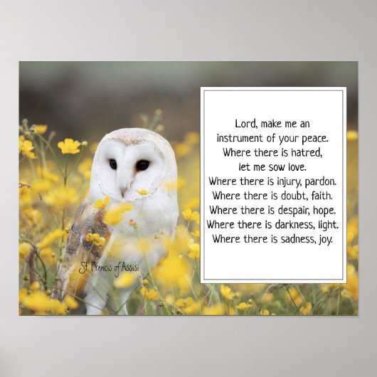 St. Francis van Assisi Prayer met Barn Owl Poster (Voorkant)
