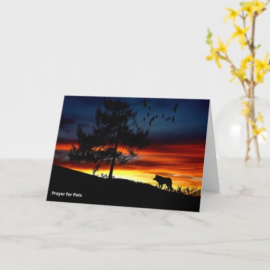 St. Francis van Assisi Prayer voor huisdieren - Do Kaart (Gele Bloem)