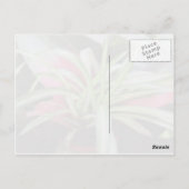 St. Francis van het Briefkaart van Assisi Quote (Achterkant)