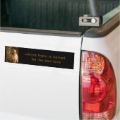 St. Franciscus bumpersticker (Op Truck)