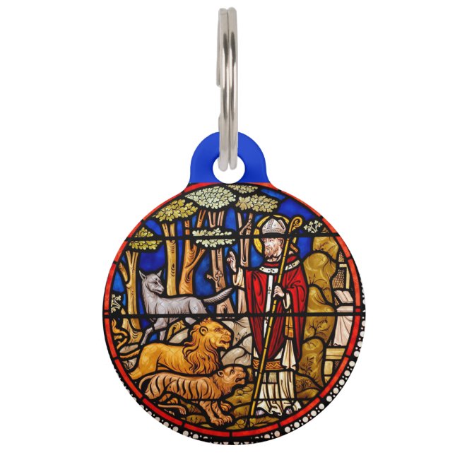 St. Franciscus Dierenbeschermer Blauw Huisdierpenning (Voorkant)