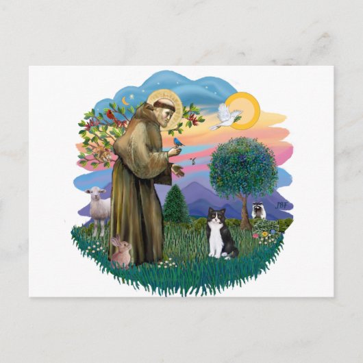 St. Franciscus (ff) - Zwart-witte kat Briefkaart (Voorkant)