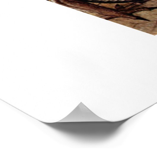 St. George by Carlo Crivelli Poster (Hoek)