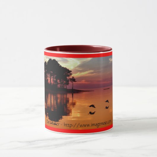 St George Island Herons Mok (Midden)