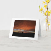 St. George Island na de orkaan Kaart (Gele Bloem)