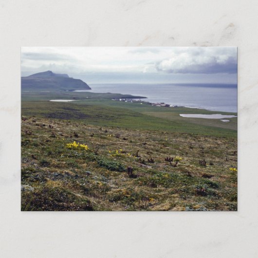 St. George Island, Pribilofs 1987 Briefkaart (Voorkant)