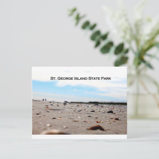 ST. GEORGE ISLAND STATE PARK - FLORIDA BRIEFKAART (Staand voorkant)