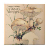 ST. GEORGE'S MUSHROOM TEGELTJE (Voorkant)