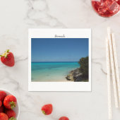 St. George's Parish, Bermuda Servet (Insitu)