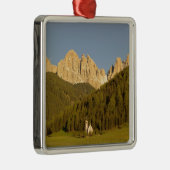 St Giovanni, Val di Funes, Dolomites, Italië Metalen Ornament (Rechts)