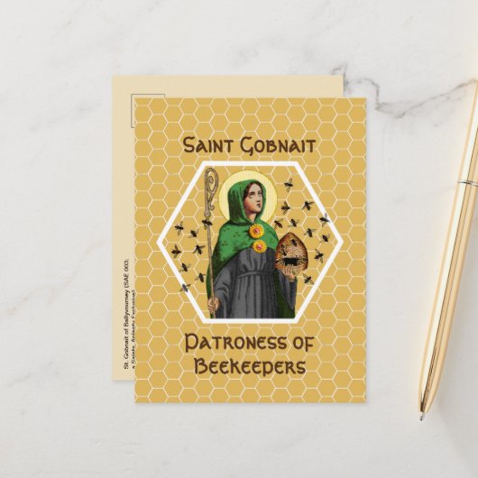 St. Gobnait of Ballyvourney (SAE 003) Briefkaart (Voorkant / Achterkant in situ)