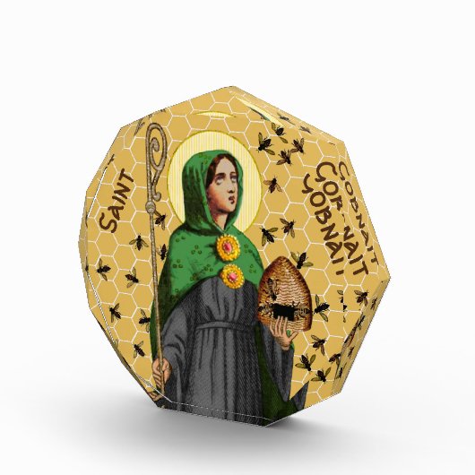 St. Gobnait of Ballyvourney (SAE 003) Fotoblokken (Rechts)