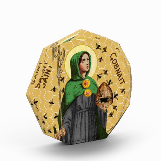 St. Gobnait of Ballyvourney (SAE 003) Fotoblokken (Links)