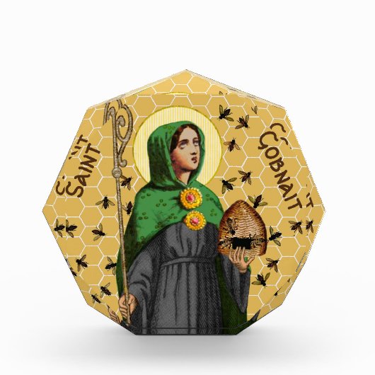 St. Gobnait of Ballyvourney (SAE 003) Fotoblokken (Voorkant)