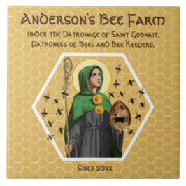 St. Gobnait of Ballyvourney (SAE 003) keramische t Tegeltje