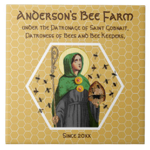 St. Gobnait of Ballyvourney (SAE 003) keramische t Tegeltje