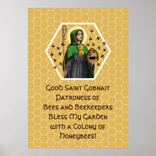 St. Gobnait van Ballyvourney (SAE 003) Poster (Voorkant)