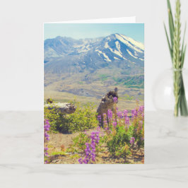 St. Helens Feestdagen Kaart