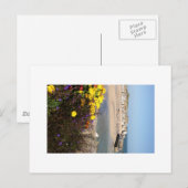 St. Ives Briefkaart (Voorkant / Achterkant)