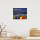 St. James Bay-badkratten, nabij Kaapstad, Poster (Keuken)