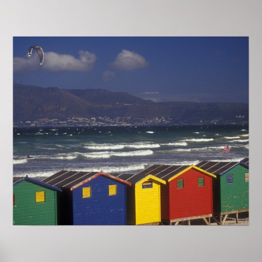 St. James Bay-badkratten, nabij Kaapstad, Poster (Voorkant)