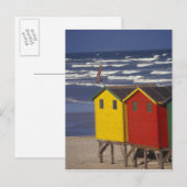 St James Bay Bathing Boxes, bij Capetown, 3 Briefkaart (Voorkant / Achterkant)