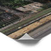 St James, haven van Spanje, Trinidad, Caribisch ge Poster (Hoek)