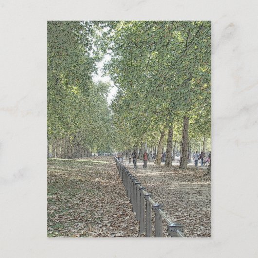 St. Jame's Park Briefkaart (Voorkant)