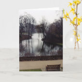 St. James Park Kaart (Gele Bloem)