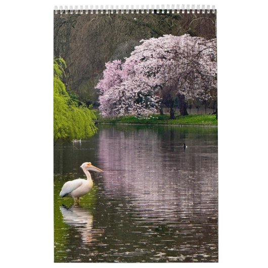 St James's Park, London  Kalender (Hoes)