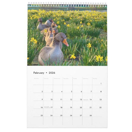 St James's Park, London  Kalender (Feb 2026)