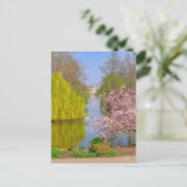 St James's park, London UK Briefkaart (Staand voorkant)