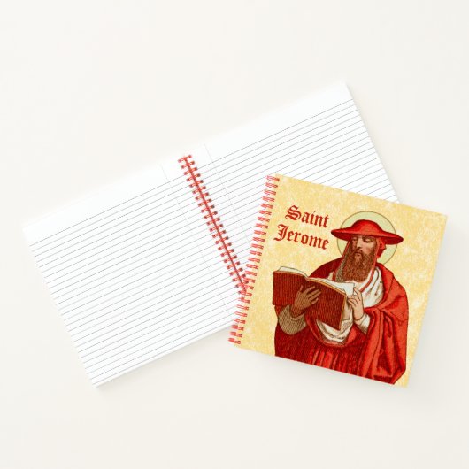 St. Jerome als kardinaal met Boek (P 004) (Binnen)