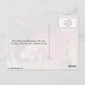 St. Jerome van Peter Paul Rubens Briefkaart (Achterkant)