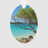 St. John Cinnamon Bay Beach Oval Ornament (voorkant)