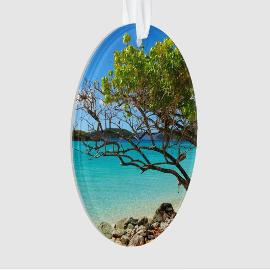 St. John Cinnamon Bay Beach Oval Ornament (voorkant)