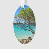 St. John Cinnamon Bay Beach Oval Ornament (voorkant)