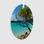 St. John Cinnamon Bay Beach Round Ornament (voorkant)