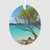 St. John Cinnamon Bay Beach Round Ornament (voorkant)