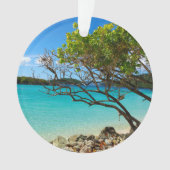 St. John Cinnamon Bay Beach Round Ornament (voorkant)
