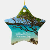St. John Cinnamon Bay Ceramic Star Ornament (Voorkant)