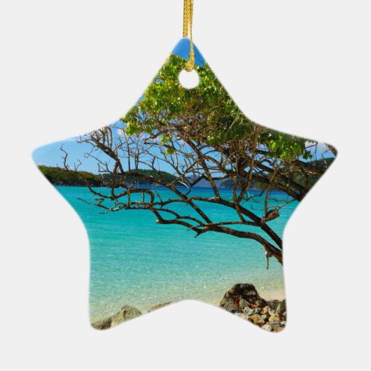 St. John Cinnamon Bay Ceramic Star Ornament (Achterkant)