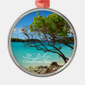 St. John Cinnamon Bay Silver Lijst Ornament (Voorkant)