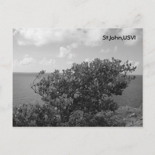 St.John, USVI Briefkaart (Voorkant)